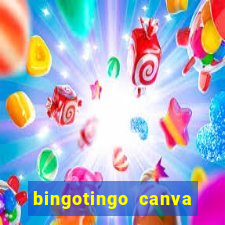 bingotingo canva pro gratis